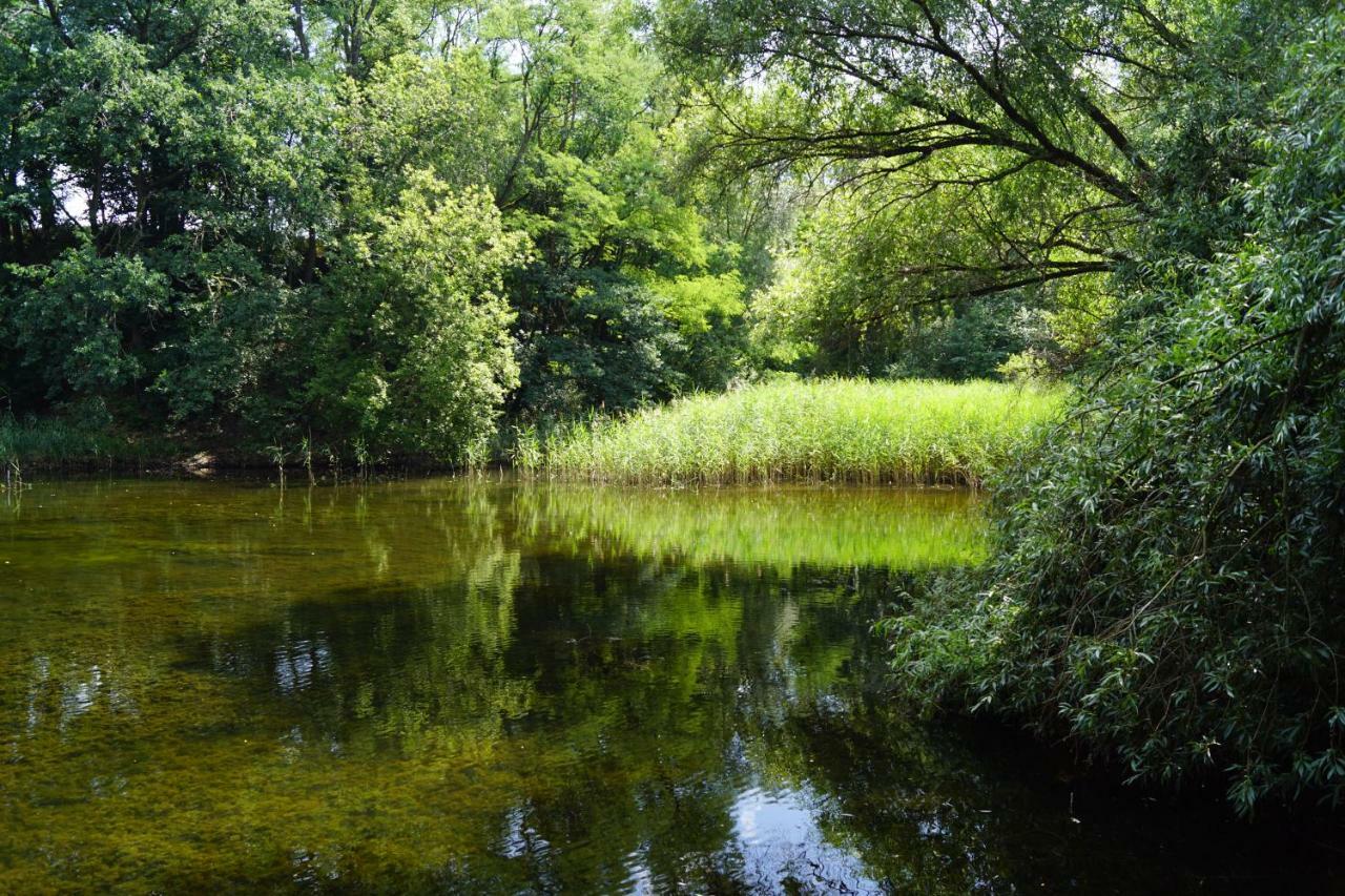 Ferienwohnung Rehagen Sued Am Mellensee Eksteriør billede